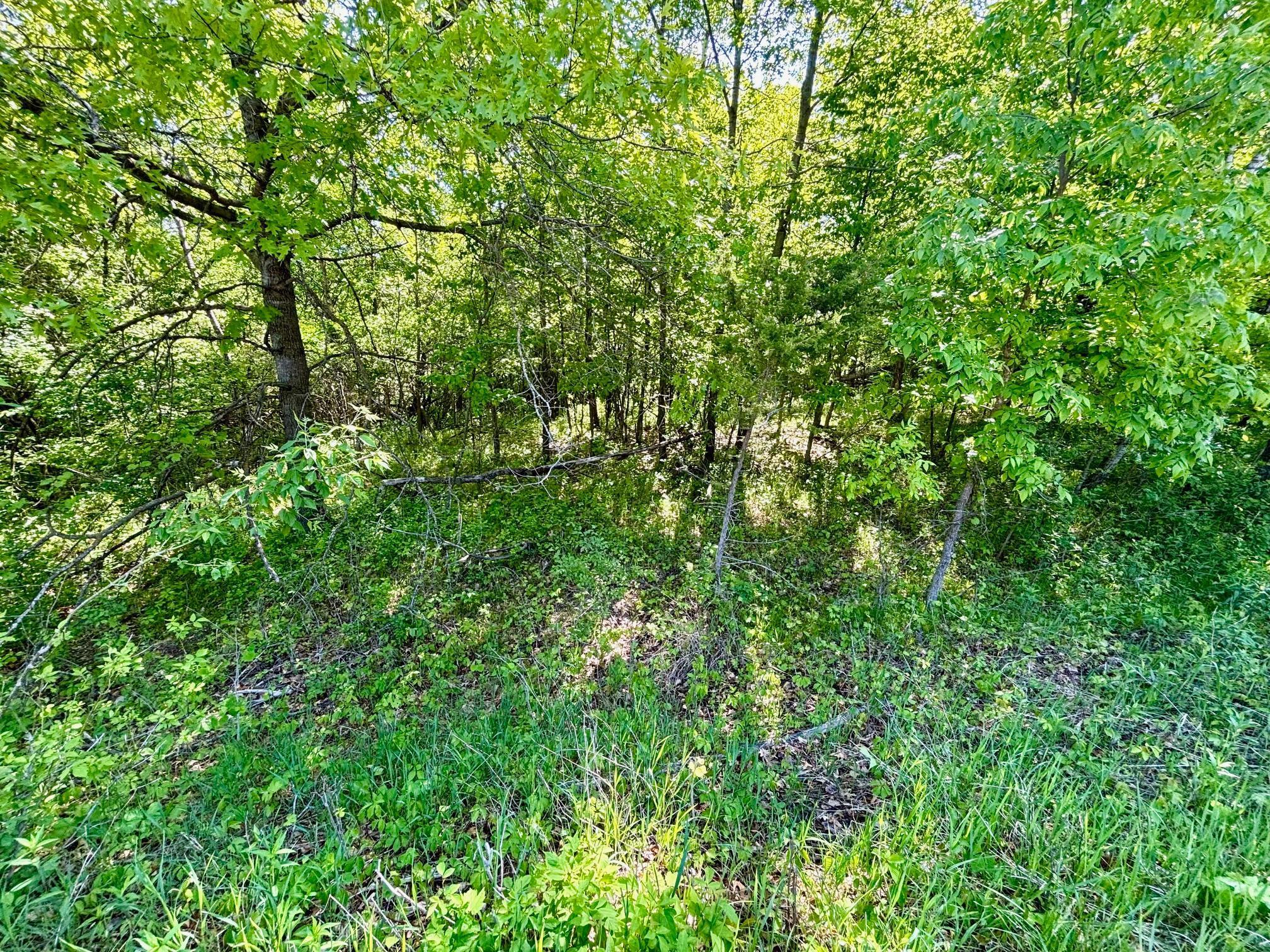 TBD 235th Avenue, Long Prairie, Minnesota image 10