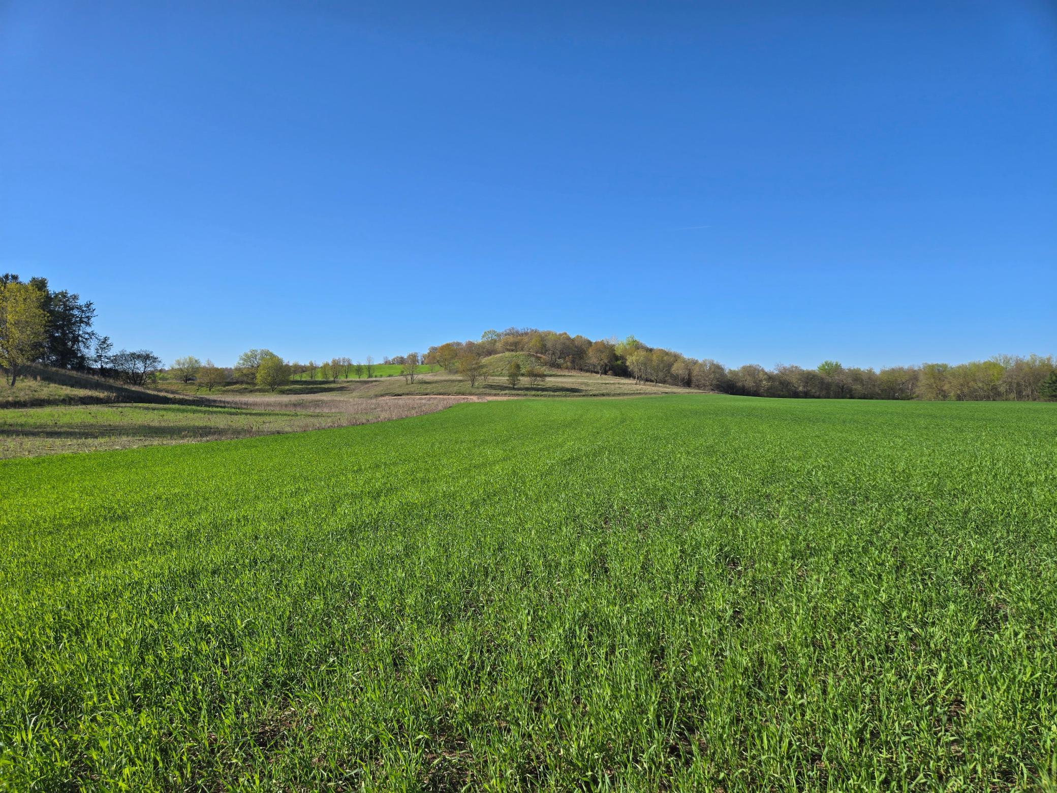 16.74 Acres County Road N, Wheeler, Wisconsin image 2