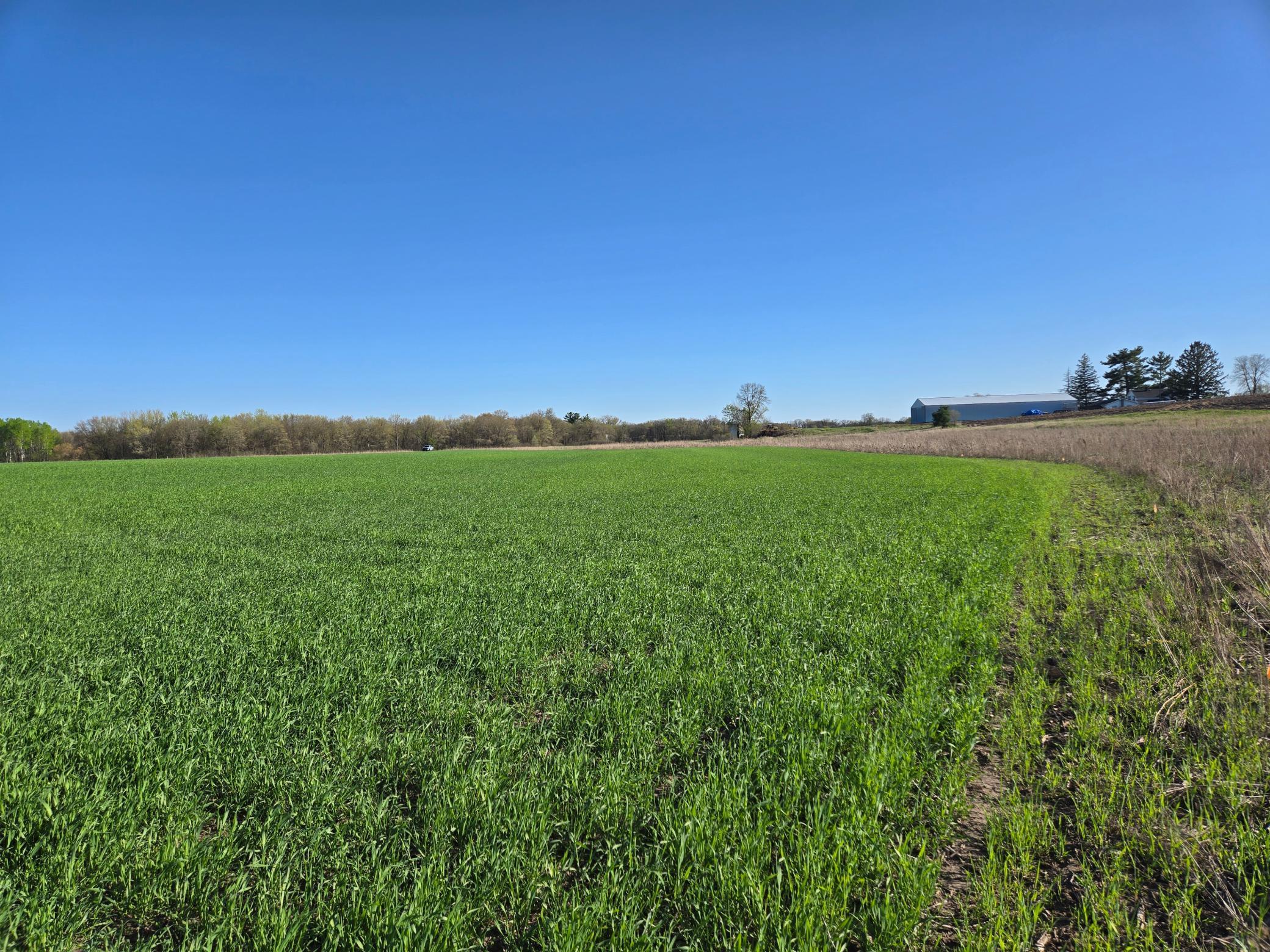16.74 Acres County Road N, Wheeler, Wisconsin image 3