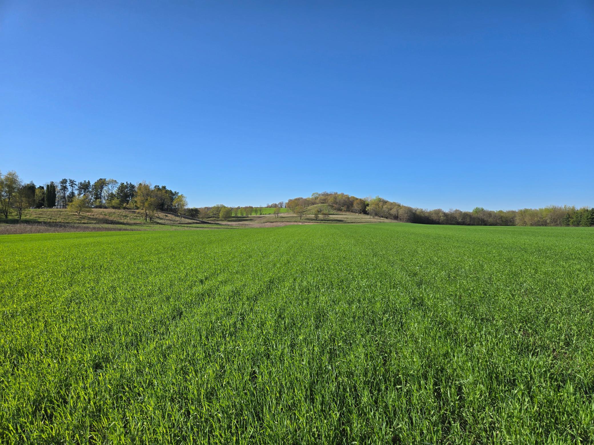 16.74 Acres County Road N, Wheeler, Wisconsin image 1