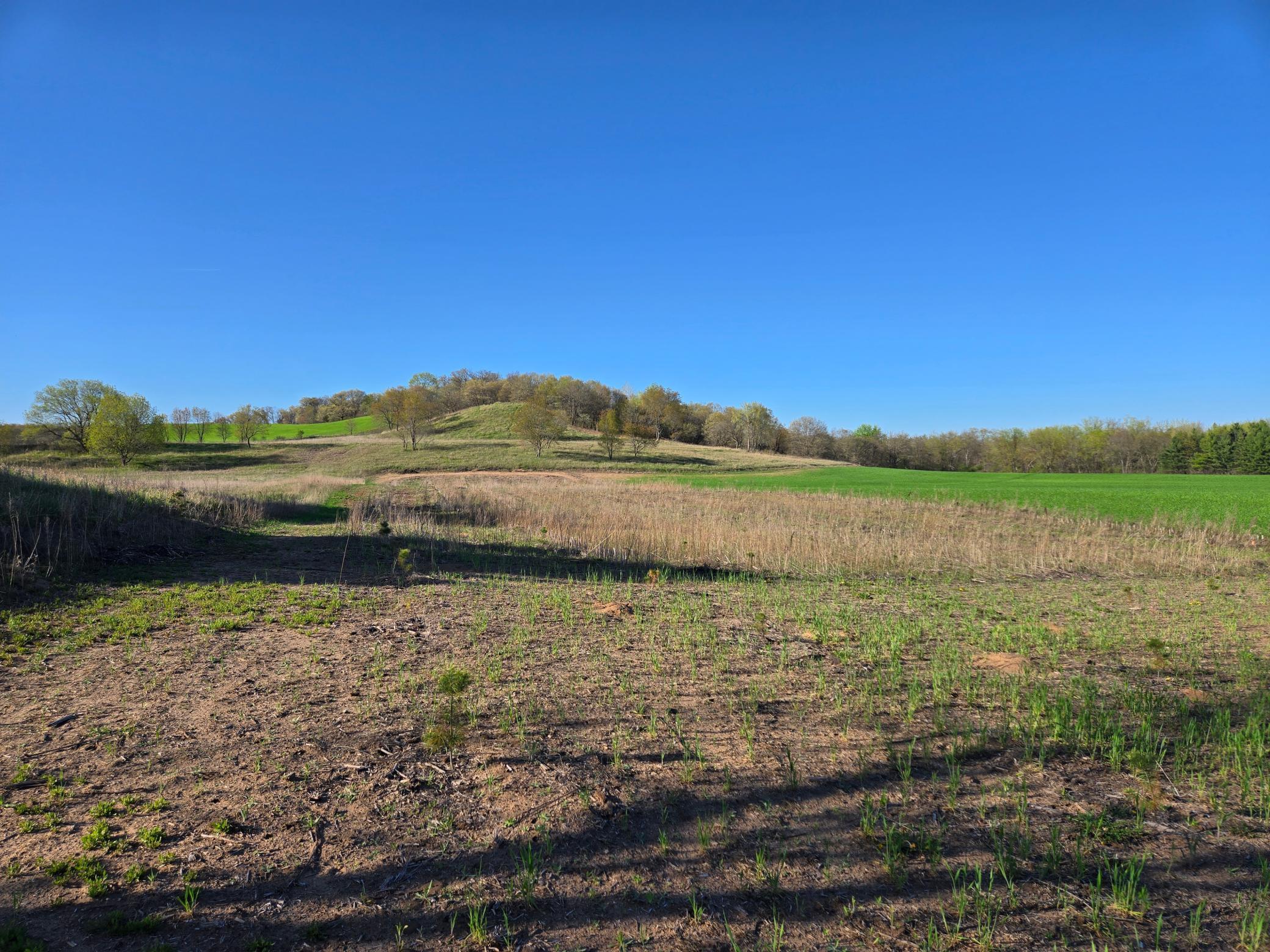 16.74 Acres County Road N, Wheeler, Wisconsin image 4