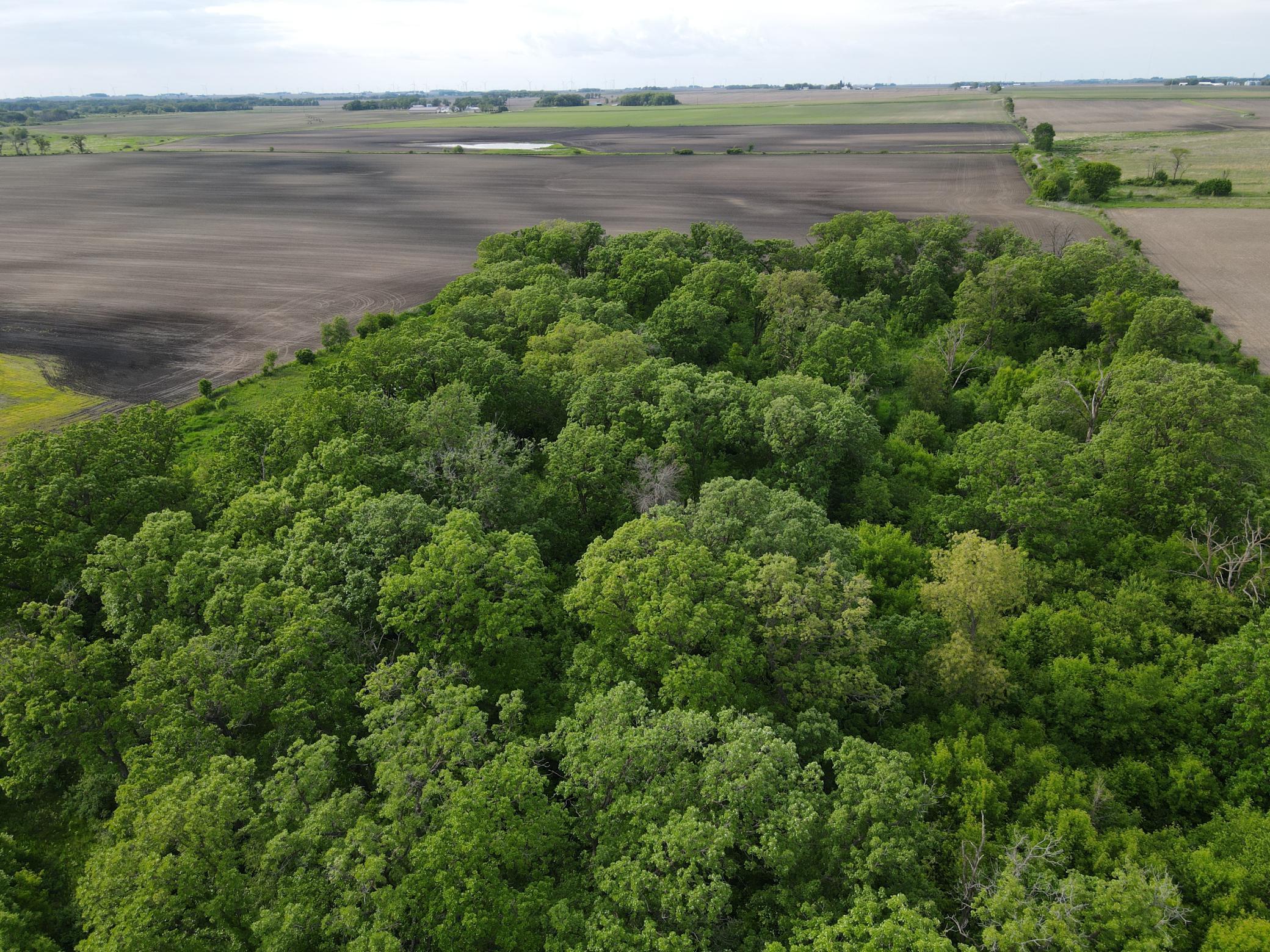 12TBD Highway 56 Boulevard, Le Roy, Minnesota image 34