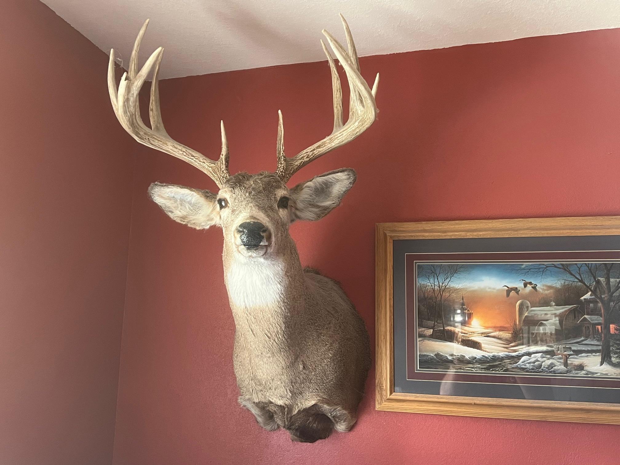 12TBD Highway 56 Boulevard, Le Roy, Minnesota image 18