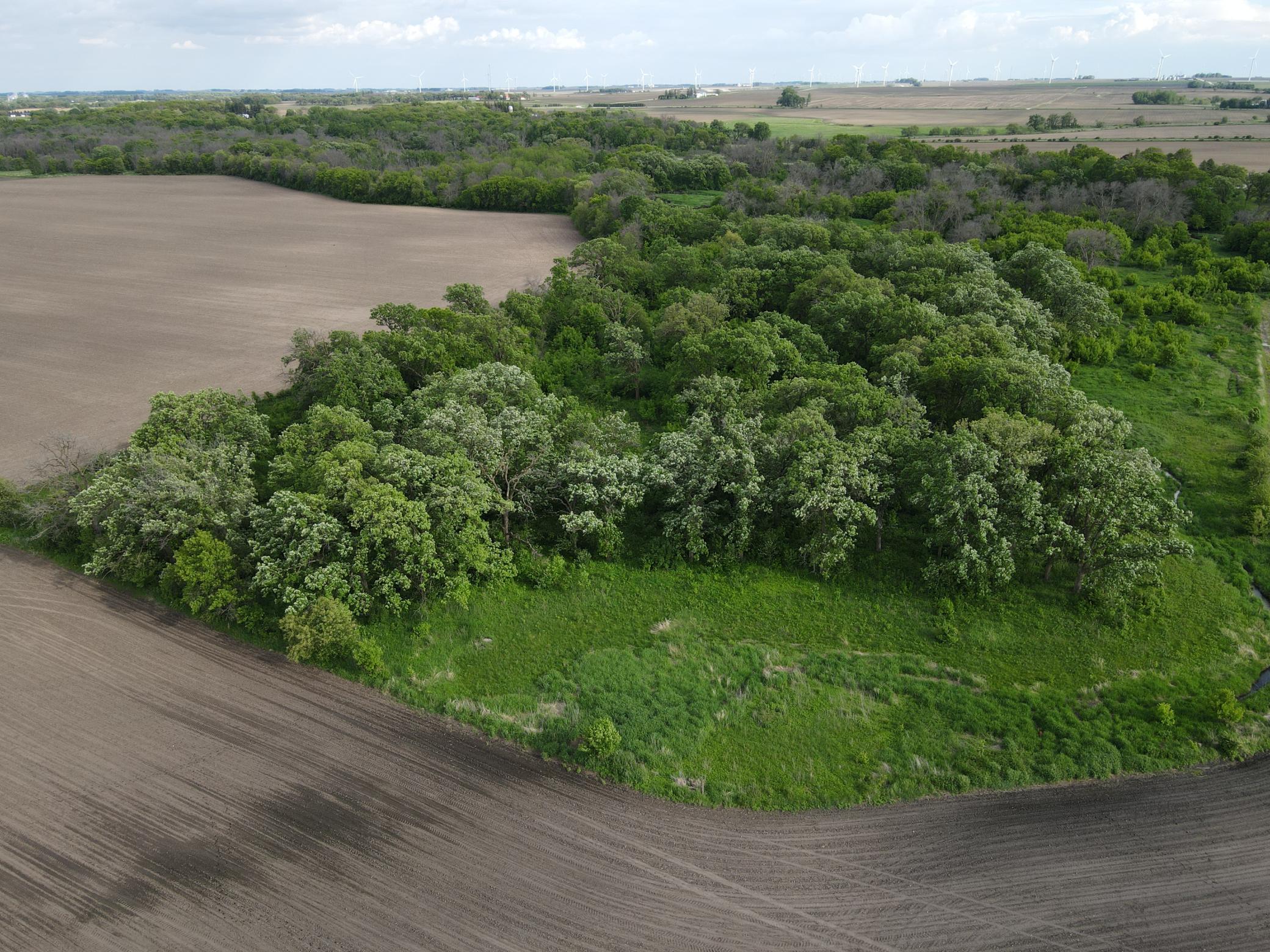 12TBD Highway 56 Boulevard, Le Roy, Minnesota image 32