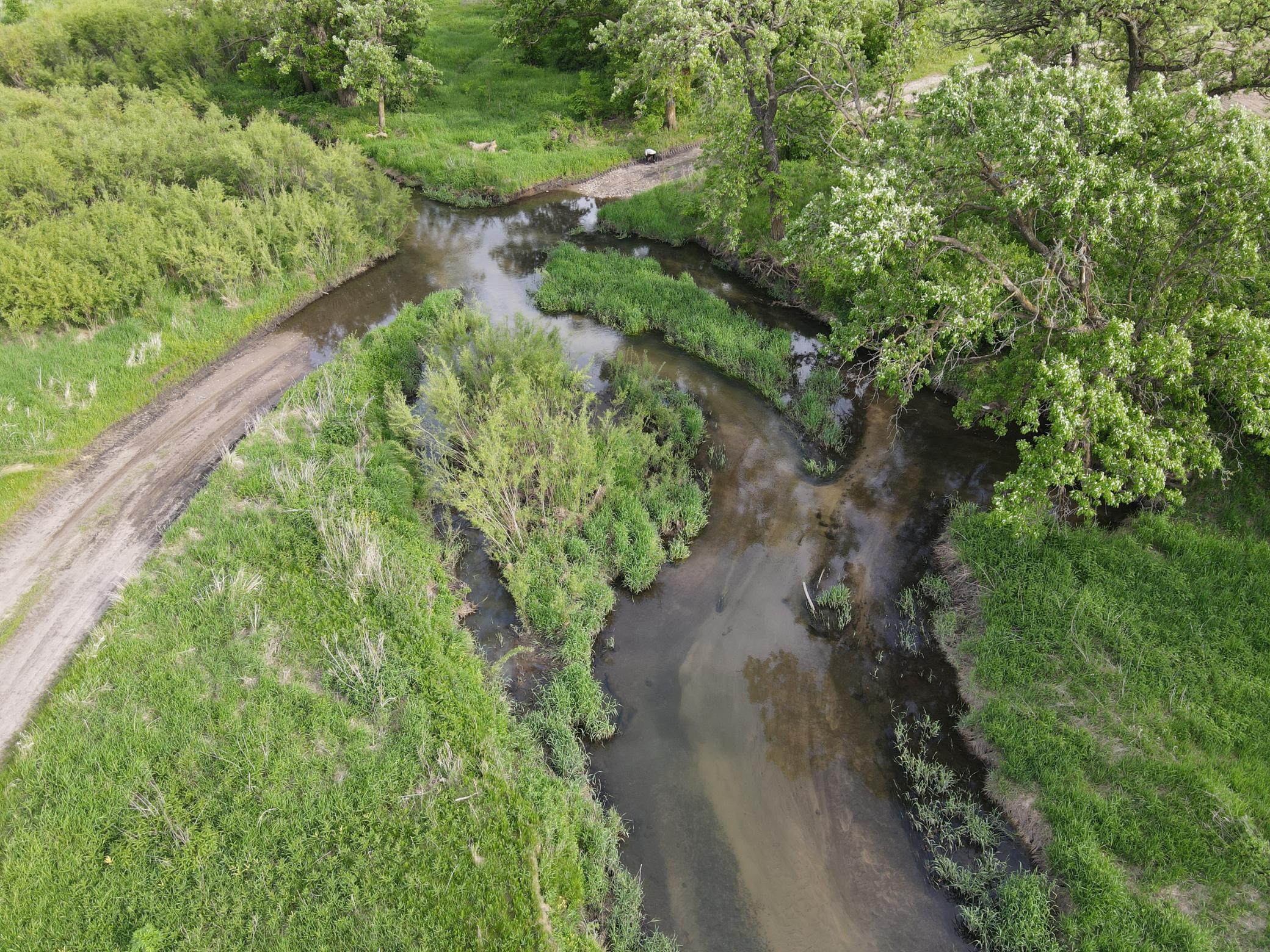 12TBD Highway 56 Boulevard, Le Roy, Minnesota image 9