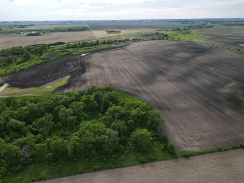 Vacant Land For Sale - 12TBD Highway 56 Boulevard<br/> Mower County, Le Roy, MN 55951