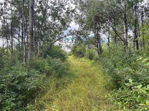 Vacant Land For Sale - TBD2 Duncan Road<br/> Sandstone, MN 55072