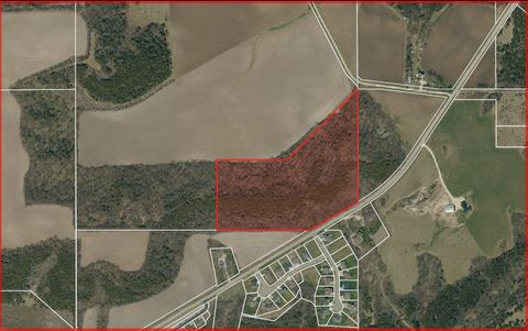 Vacant Land For Sale - XXX County 17<br/> Cannon Falls, MN 55009