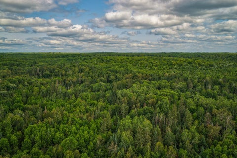 Vacant Land For Sale - TBD 219th Avenue<br/> Hubbard County, Bemidji, MN 56601