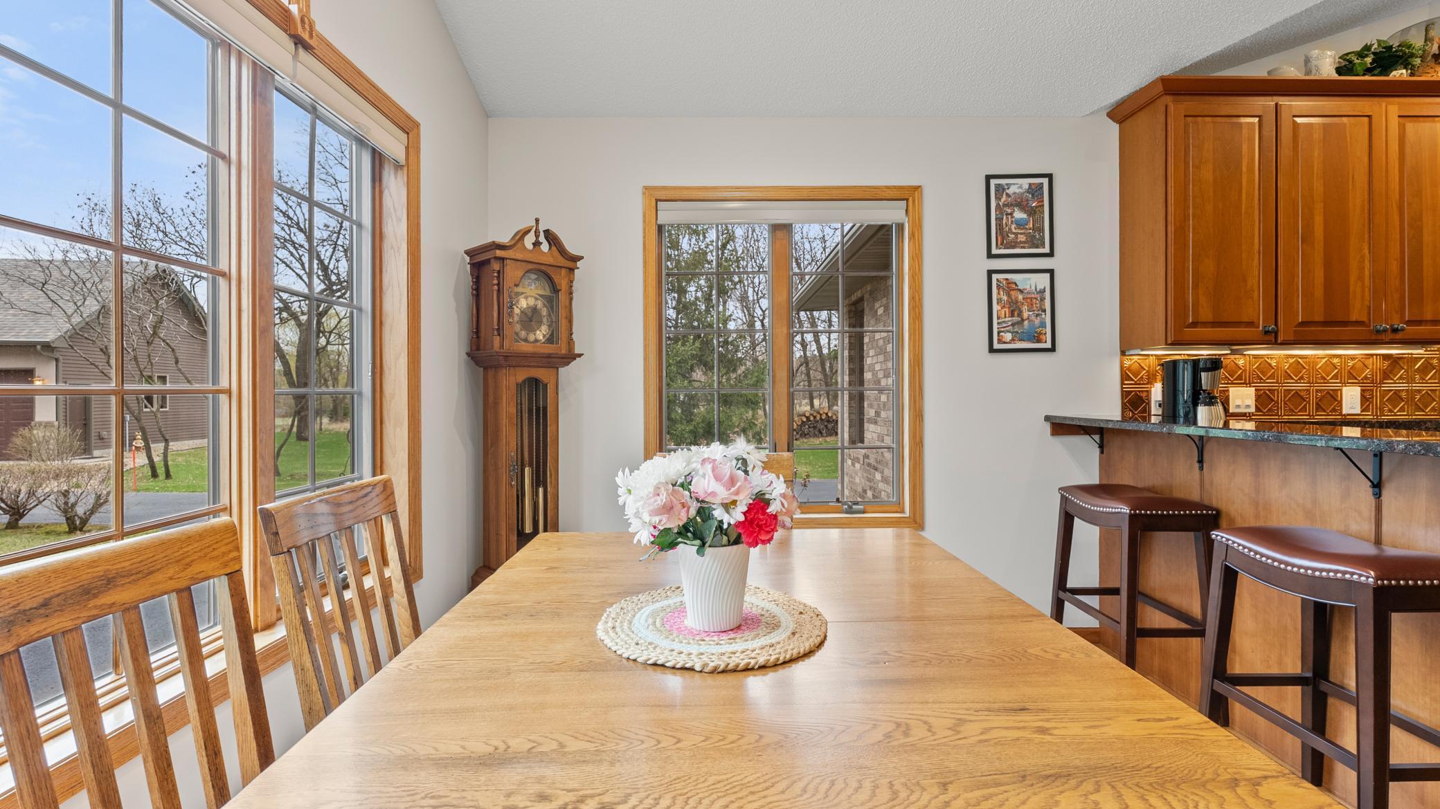 31034 115th Street, Princeton, Minnesota image 9