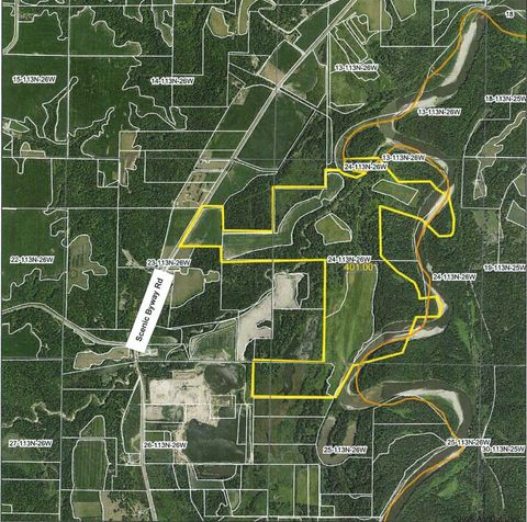 Vacant Land For Sale - XXX Scenic Byway Road<br/> Sibley County, Henderson, MN 56044