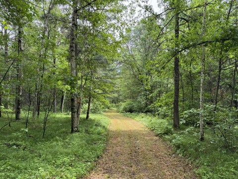 Vacant Land For Sale - TBD County Road 13<br/> Nisswa, MN 56468