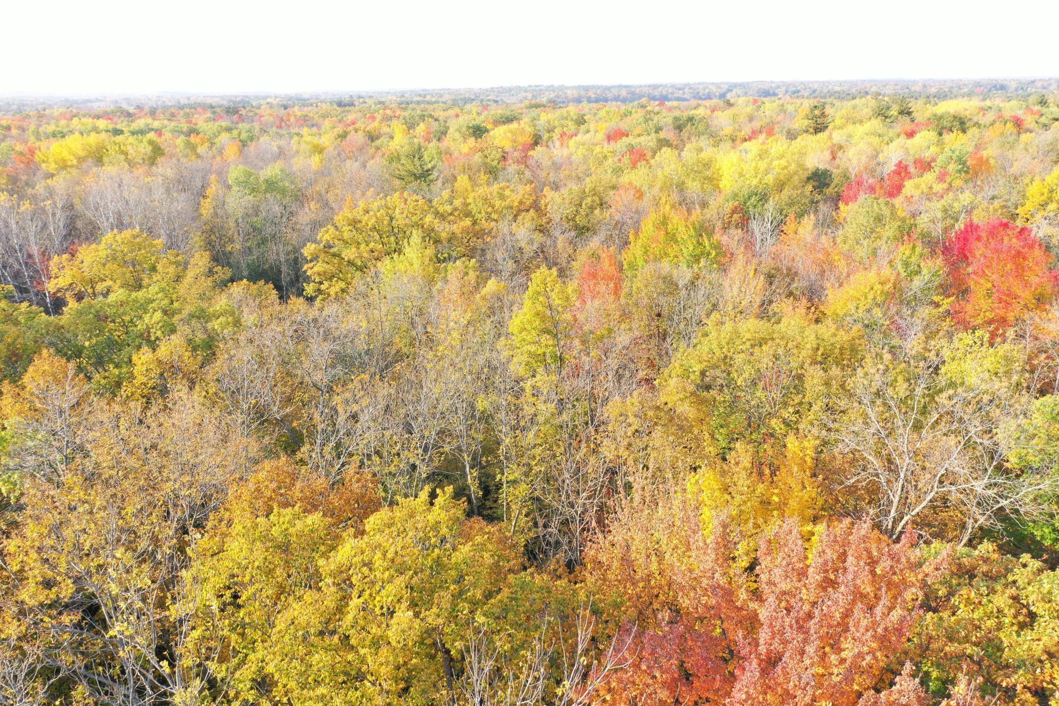 10415 Blomgren Road, Siren, Wisconsin image 22