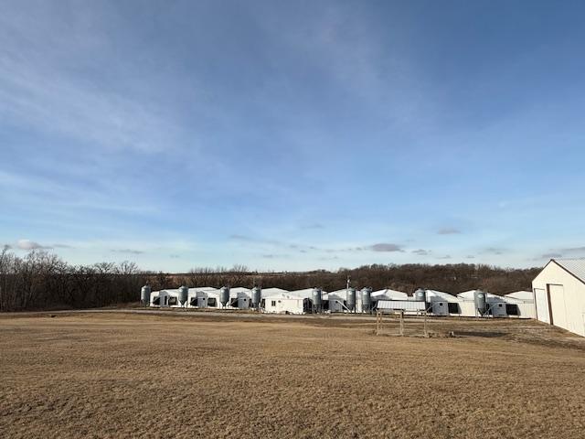 16011 Guberud Hill Drive, Spring Grove, Minnesota image 5