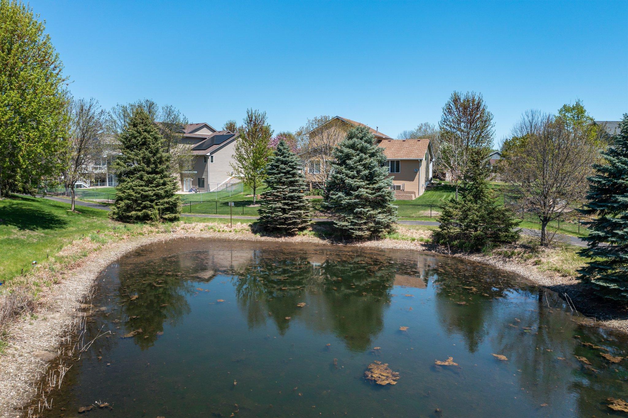 3725 Impatiens Lane, Brooklyn Park, Minnesota image 37