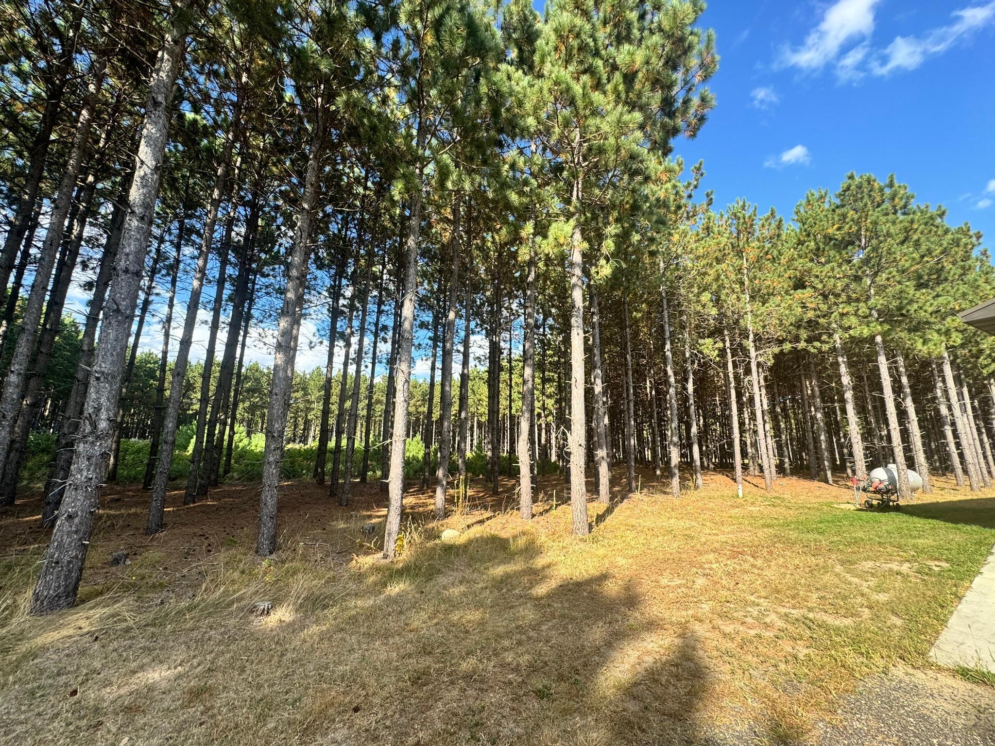 25040 Gibbon Drive, Nevis, Minnesota image 26