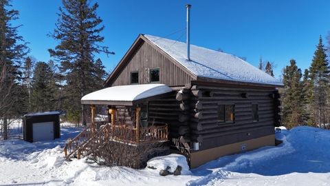 Homes For Sale - 2817 Stony Loop<br/> Lake County, Isabella, MN 55607