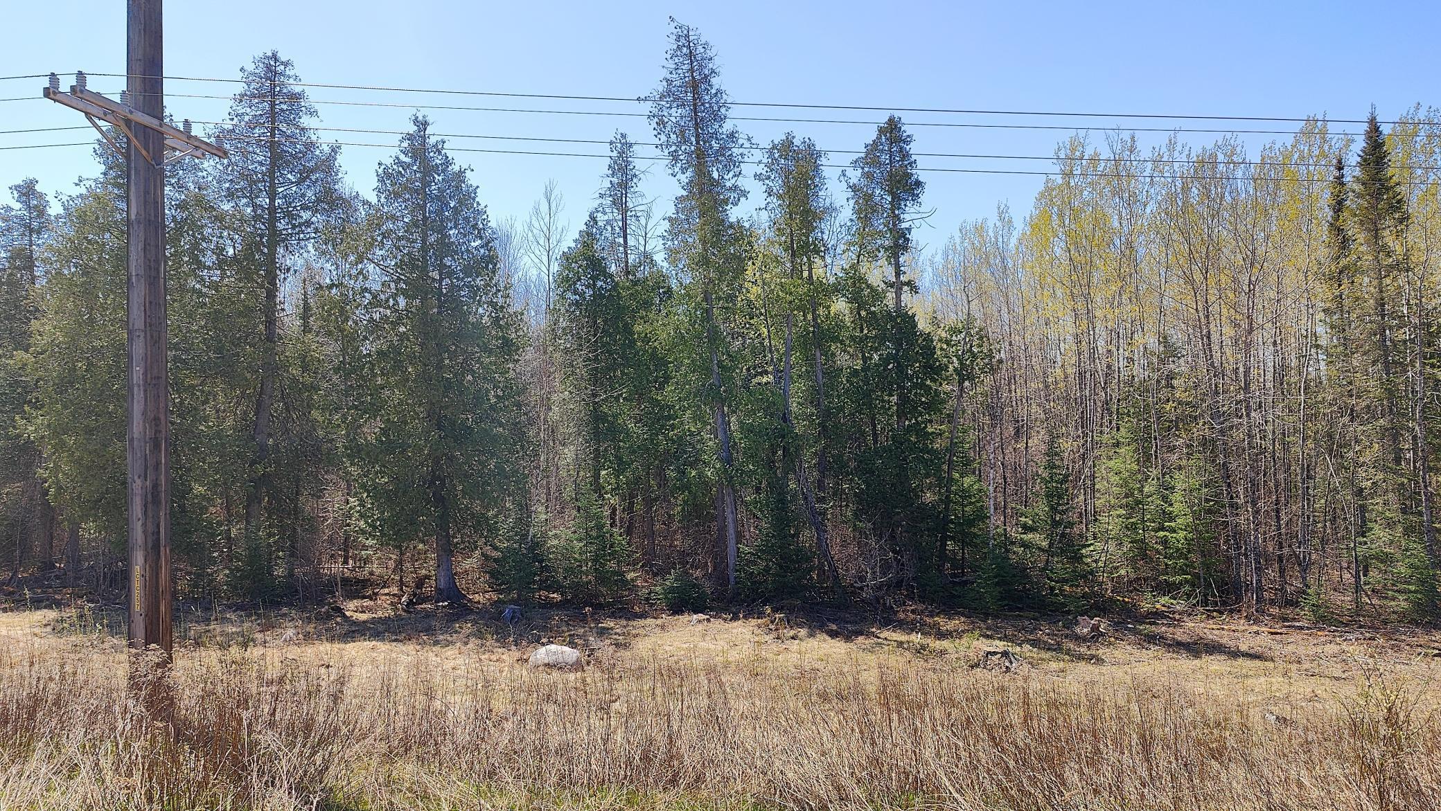 TBD4 Hwy. 115, Tower, Minnesota image 3
