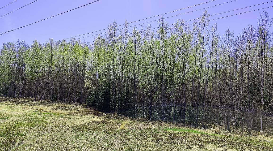 TBD4 Hwy. 115, Tower, Minnesota image 6