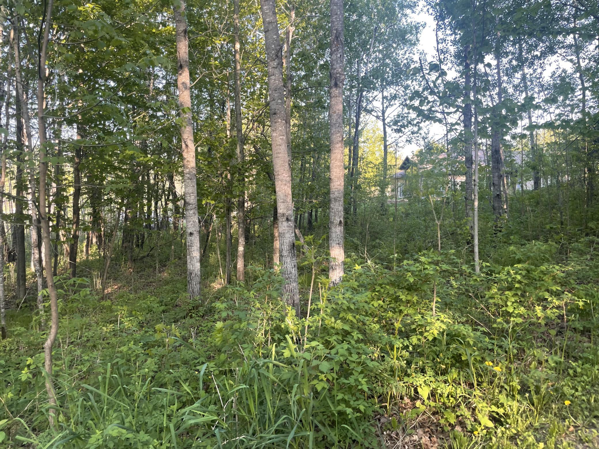 12865 Sumac Trail, Hibbing, Minnesota image 14