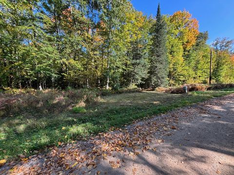 Vacant Land For Sale - TBD North Sherrys Arm Road<br/> Grand Rapids, MN 55744