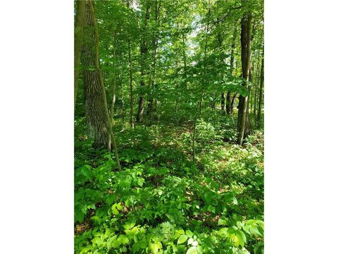 Vacant Land For Sale - TBD 330th St<br/> Motley, MN 56466