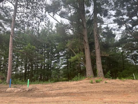 Vacant Land For Sale - LOT 2 BLK 2 Ridgewood Drive<br/> Randall, MN 56475