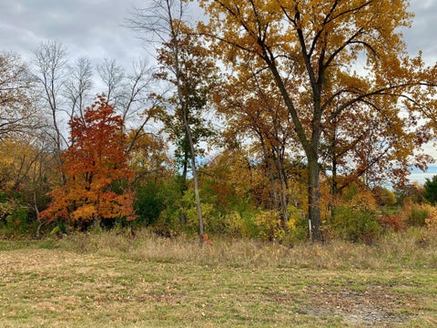 Vacant Land For Sale - 4400 Poppy Drive<br/> Hamel, MN 55340