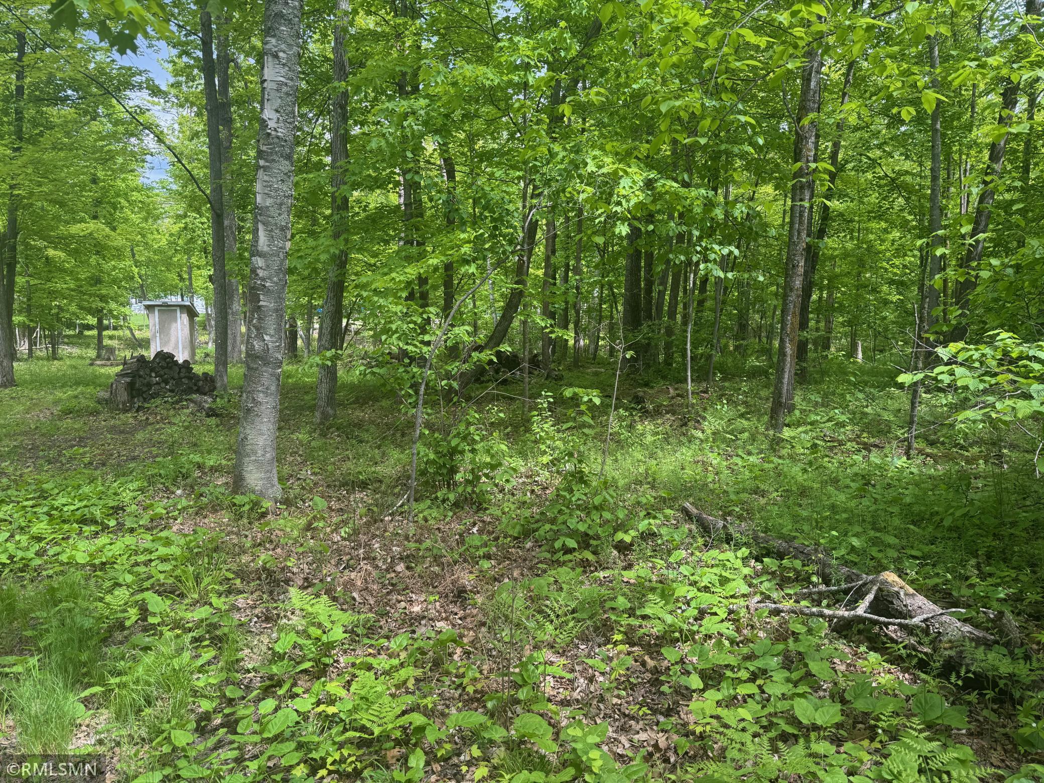 TBD 186th Avenue, Mcgregor, Minnesota image 4
