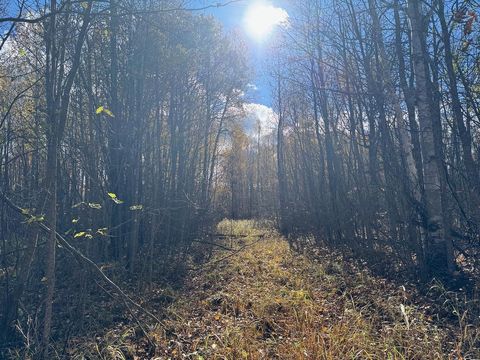 Vacant Land For Sale - TBD Spangrud Court<br/> Beltrami County, Kelliher, MN 56650