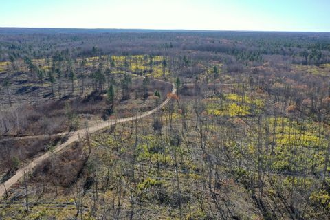 Vacant Land For Sale - TBD N Larsen Road<br/> Sawyer County, Hayward, WI 54843