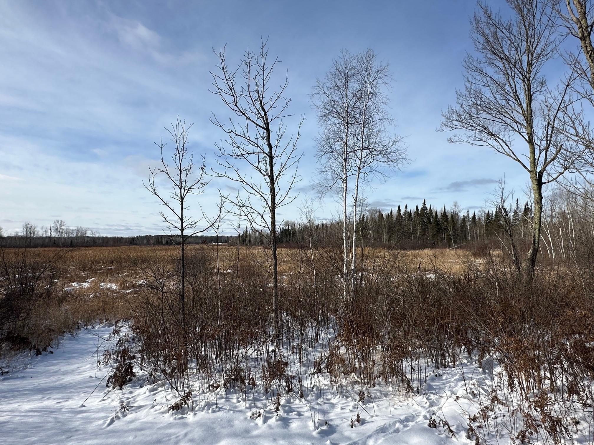 53022 Us Hwy 169, Palisade, Minnesota image 33