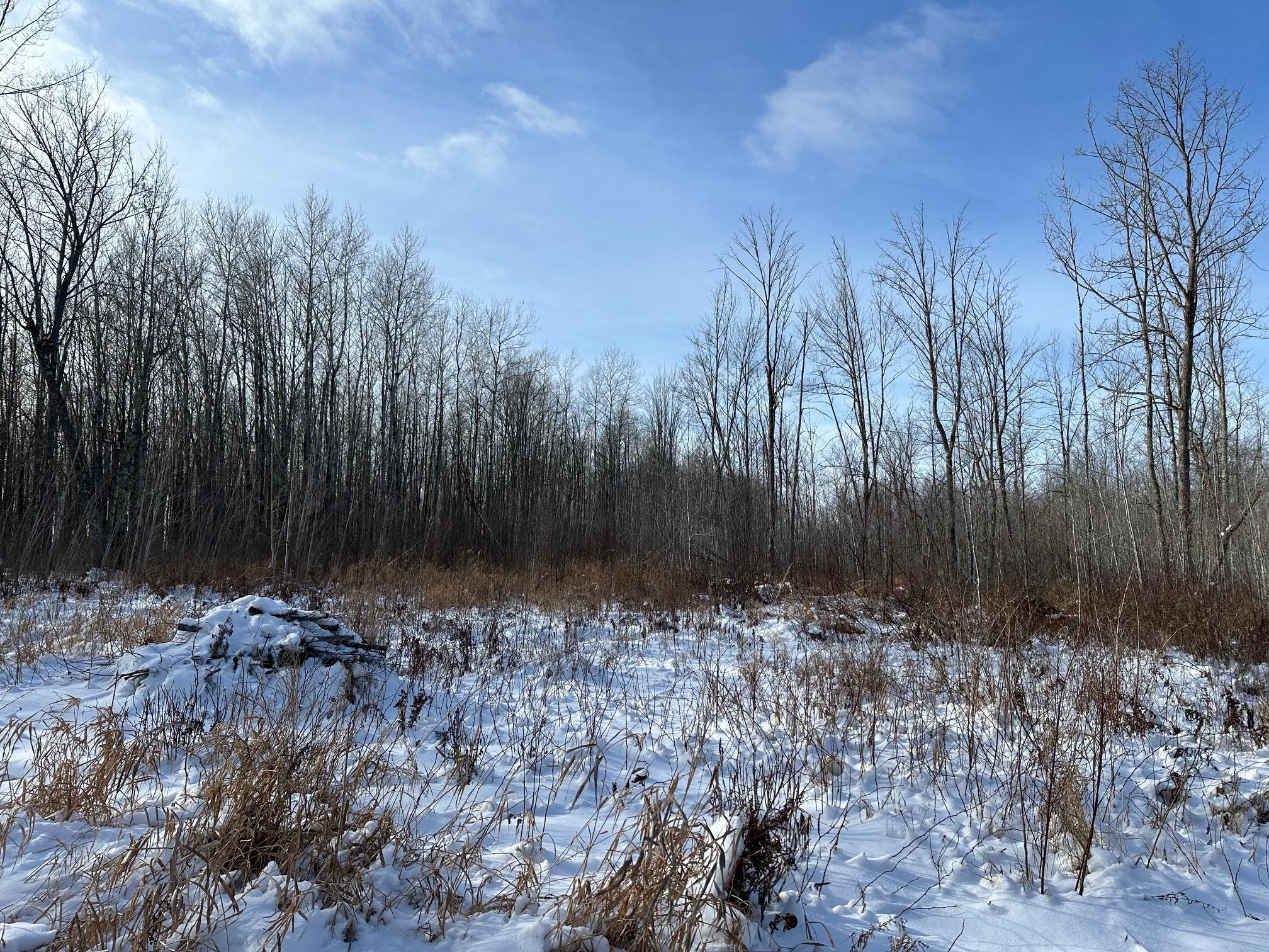 53022 Us Hwy 169, Palisade, Minnesota image 3