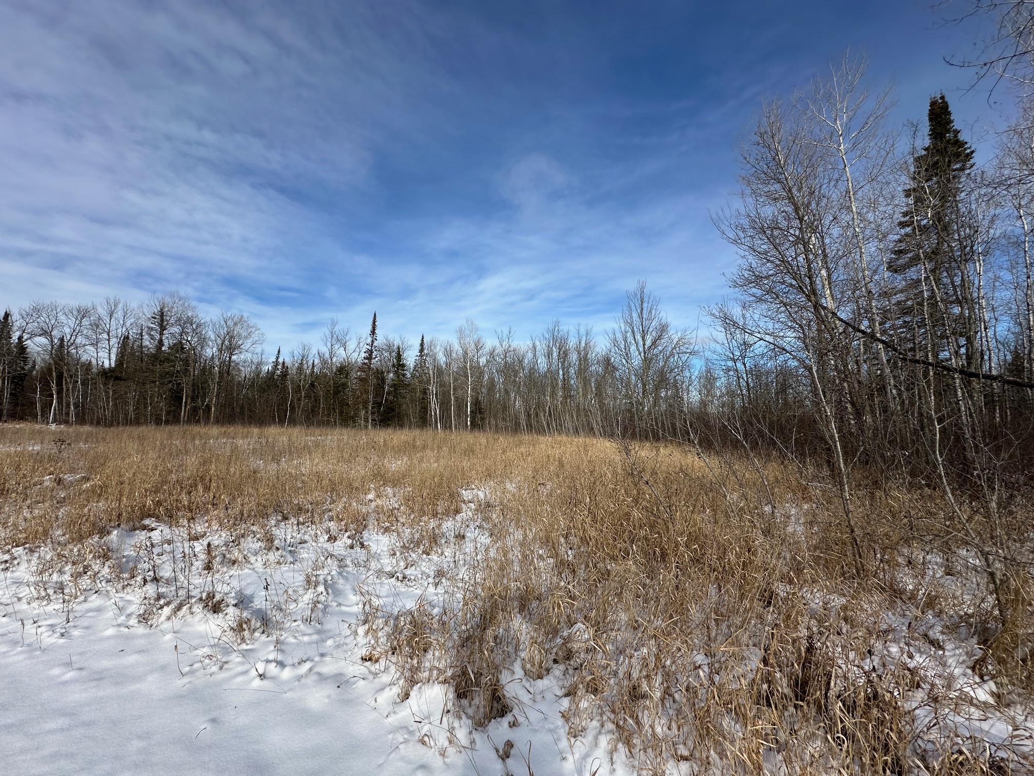 53022 Us Hwy 169, Palisade, Minnesota image 48