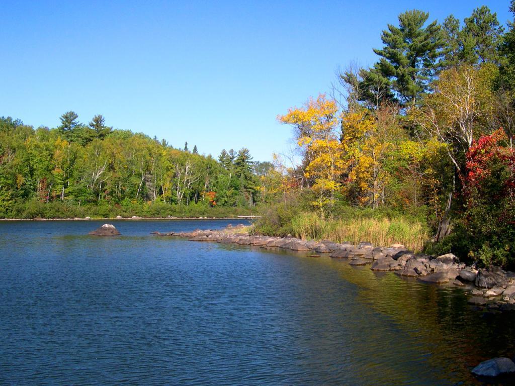 TBD Lot 3 Yahoo Point Road, Cook, Minnesota image 9