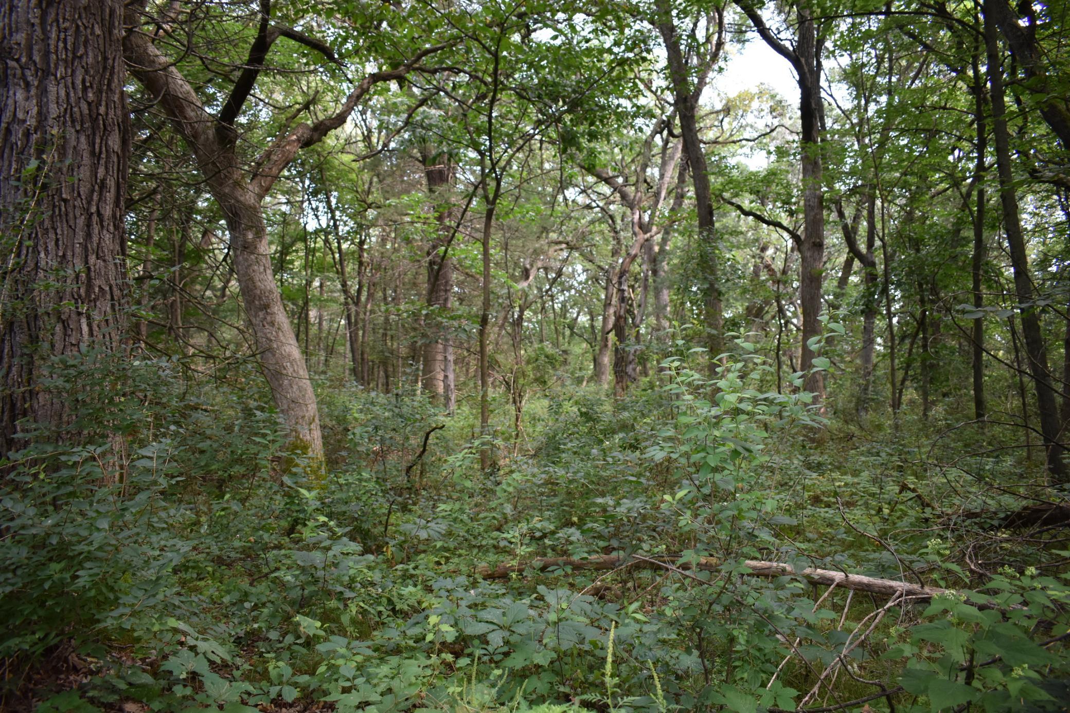 000 River Road Se, Saint Cloud, Minnesota image 16