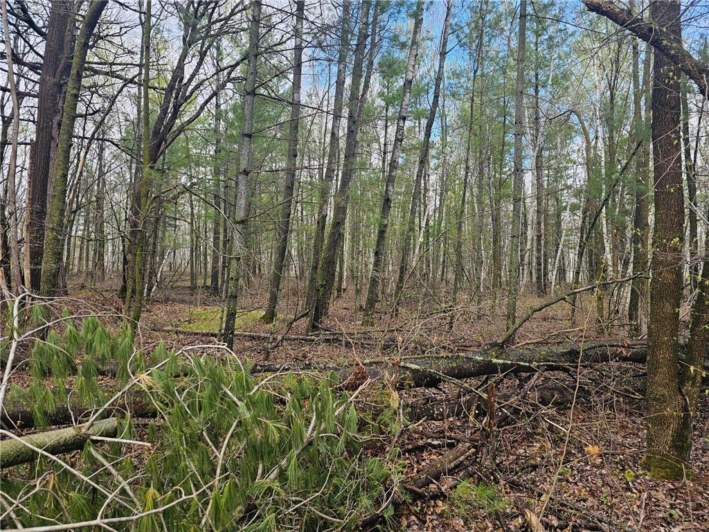 23092 Iron Hub Road, Deerwood, Minnesota image 5