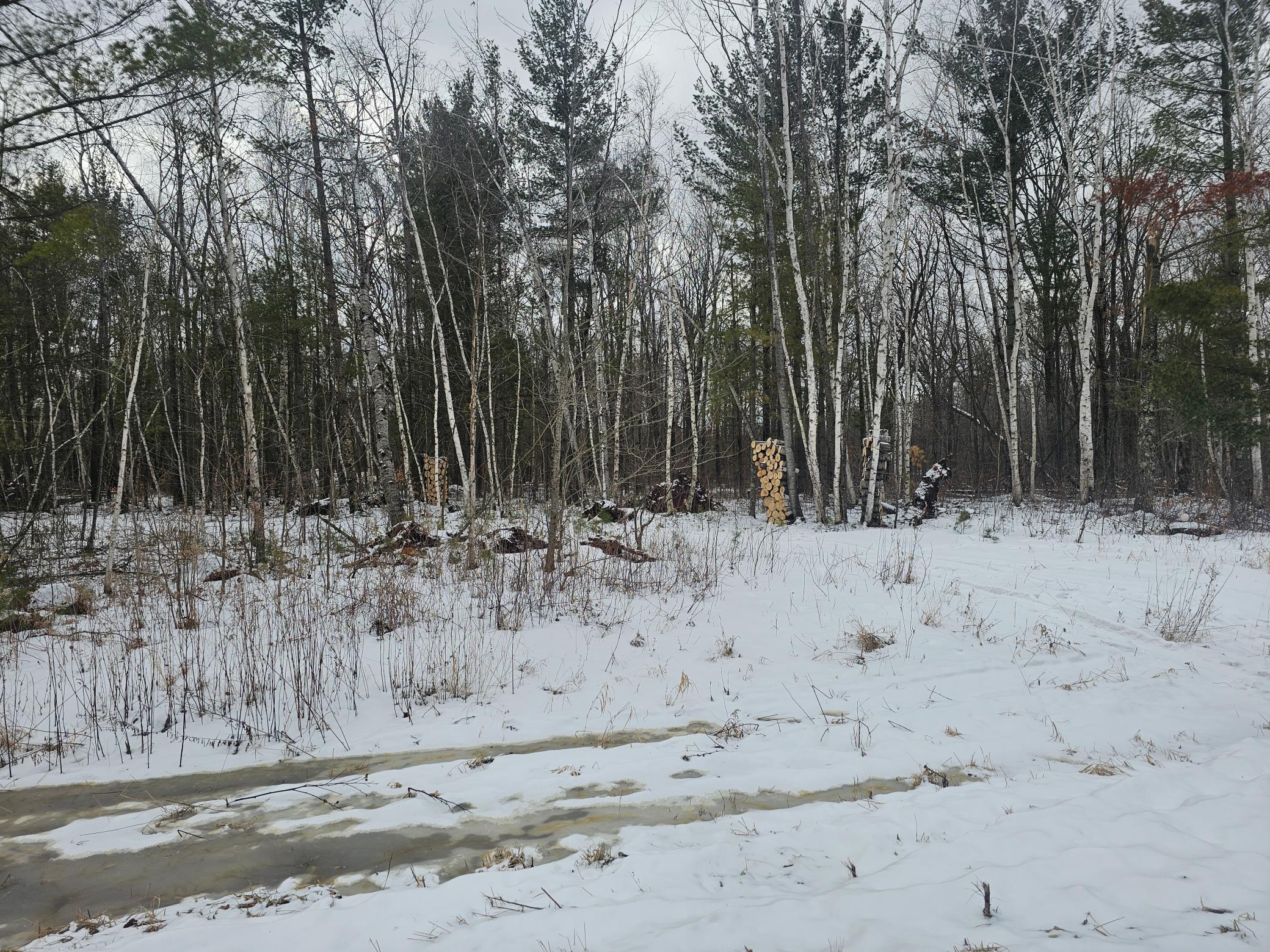 23092 Iron Hub Road, Deerwood, Minnesota image 6