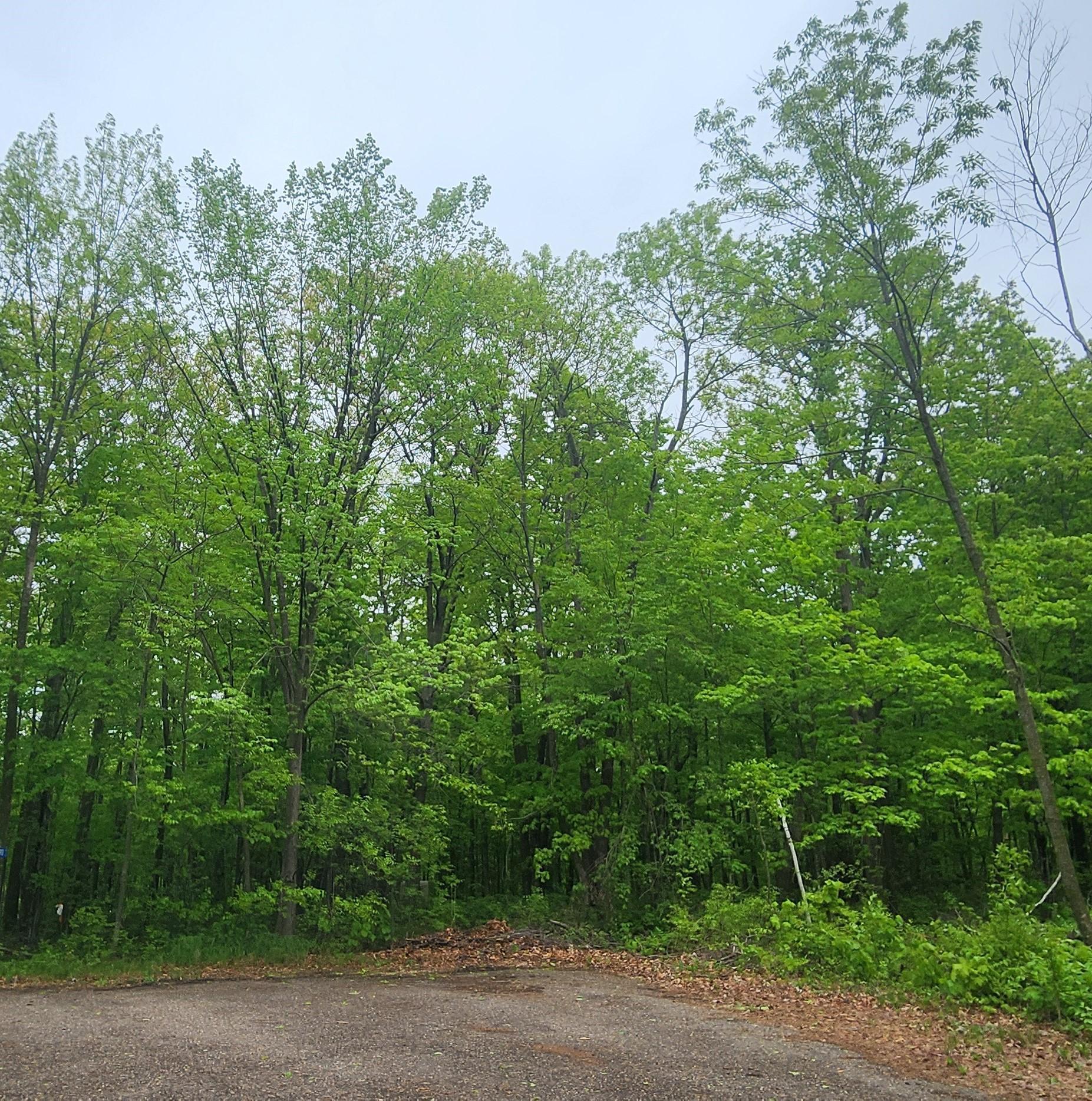 XXXXX Journeys End, Garrison, Minnesota image 1