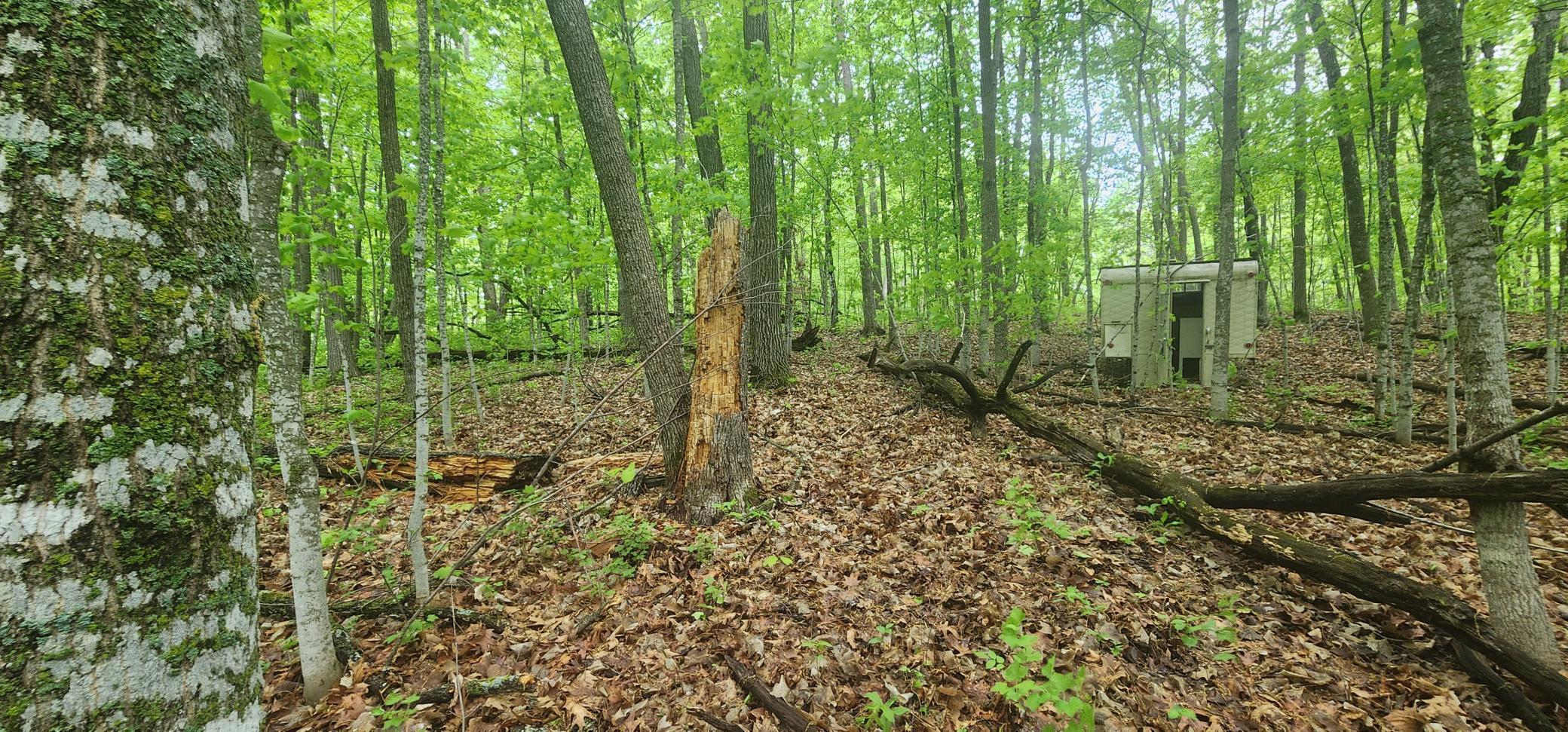 XXXXX Journeys End, Garrison, Minnesota image 6