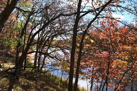 Vacant Land For Sale - 38869 Odin Court<br/> Todd County, Browerville, MN 56438