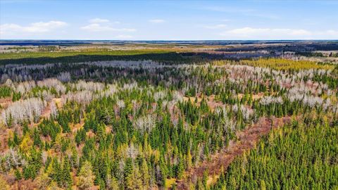 Vacant Land For Sale - 8849 Hwy 25<br/> Angora, MN 55703