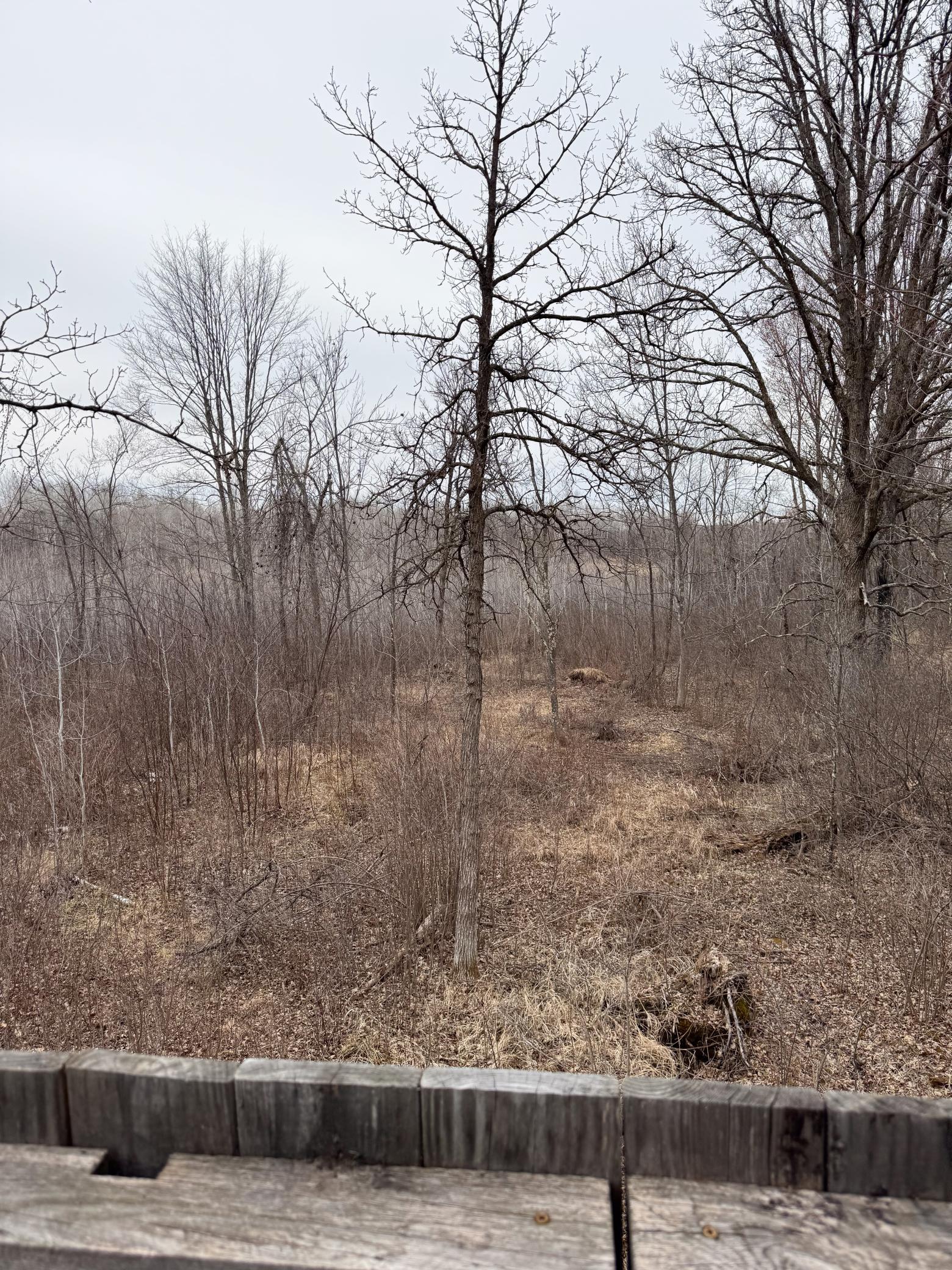 64535 Fleming Road, Bruno, Minnesota image 6