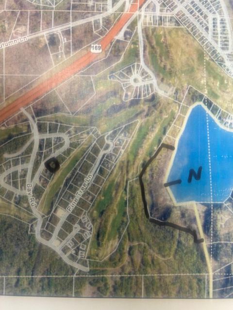 Vacant Land For Sale - TBD N Birch Drive<br/> Coleraine, MN 55721