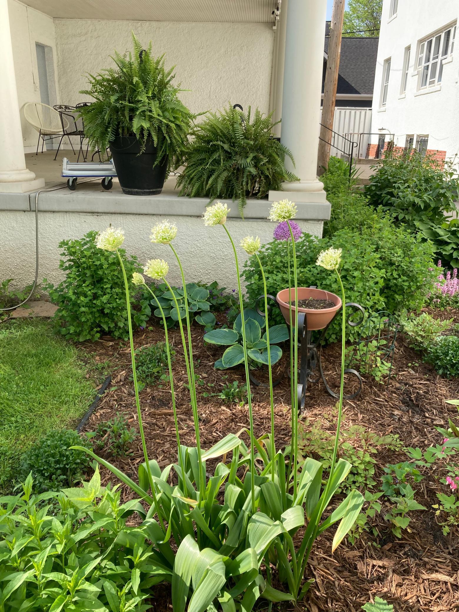 56 Arundel Street #7, Saint Paul, Minnesota image 39
