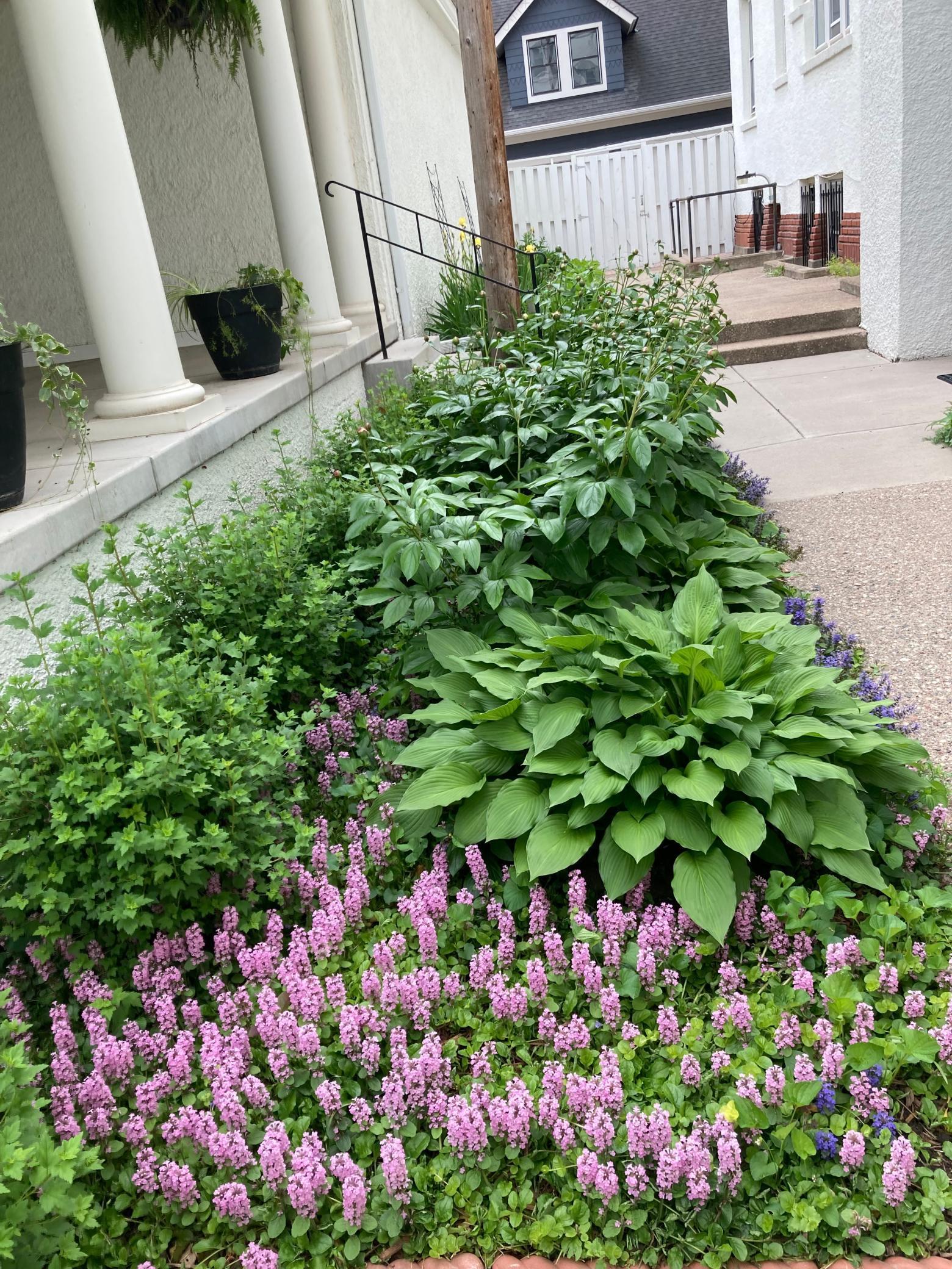 56 Arundel Street #7, Saint Paul, Minnesota image 44
