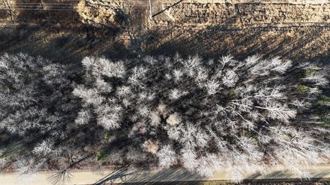 Vacant Land For Sale - PARCEL B Parameter Road<br/> Deer River, MN 56636