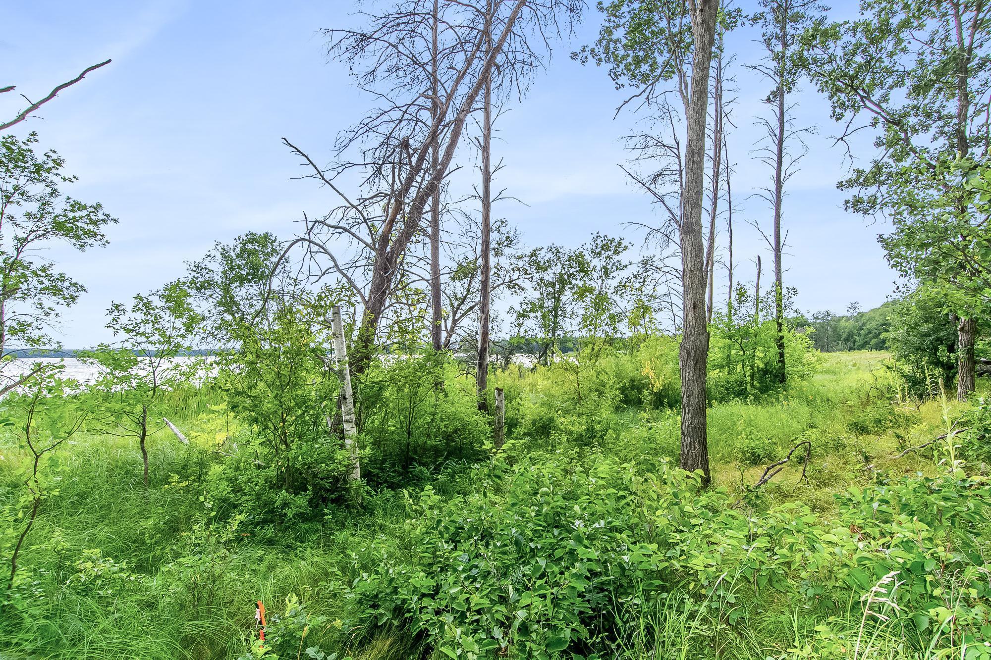 Lot 4 Blk 1 County Road 145 St, Pequot Lakes, Minnesota image 11