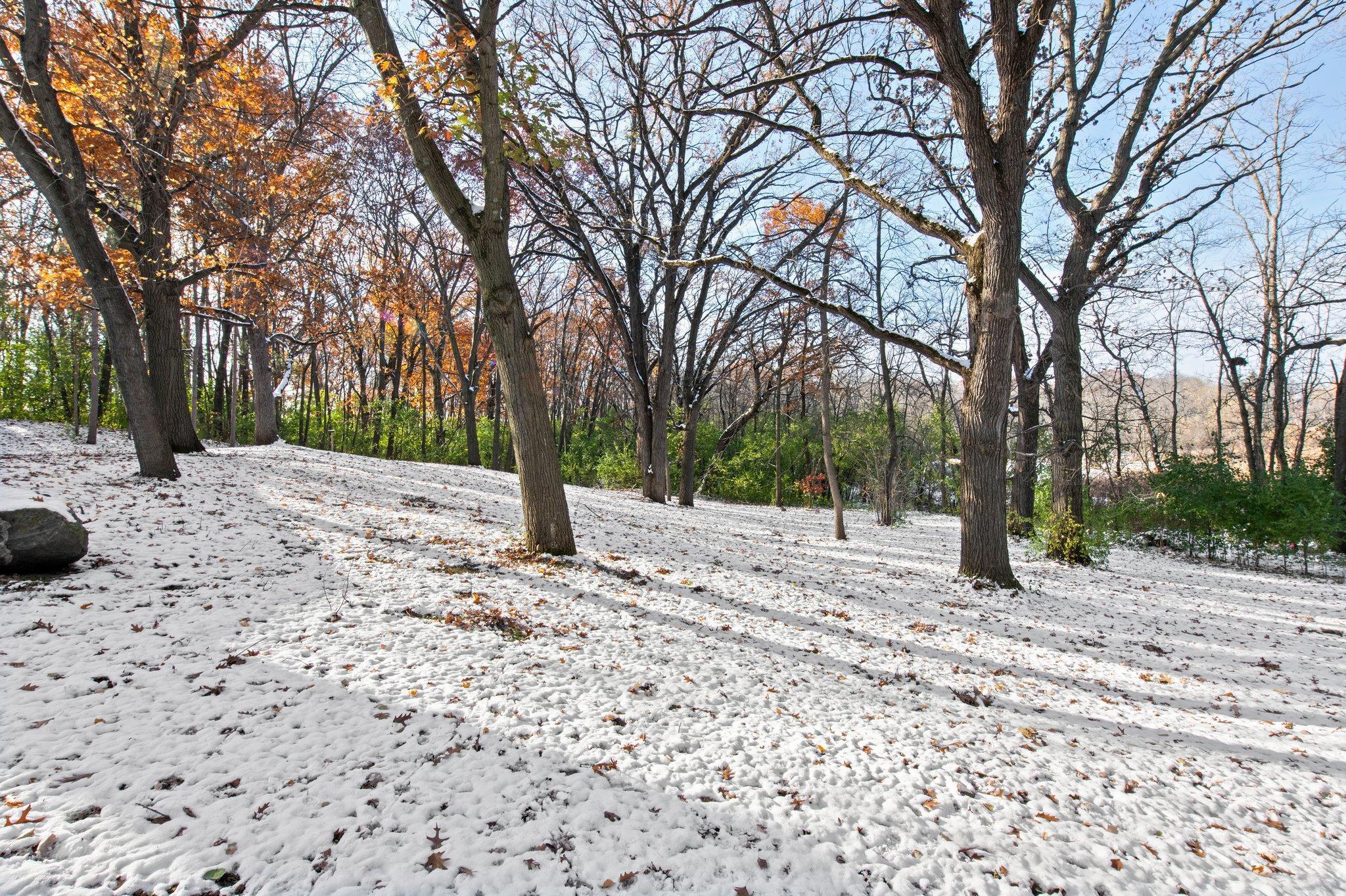 21145 Fondant Avenue, Forest Lake, Minnesota image 18
