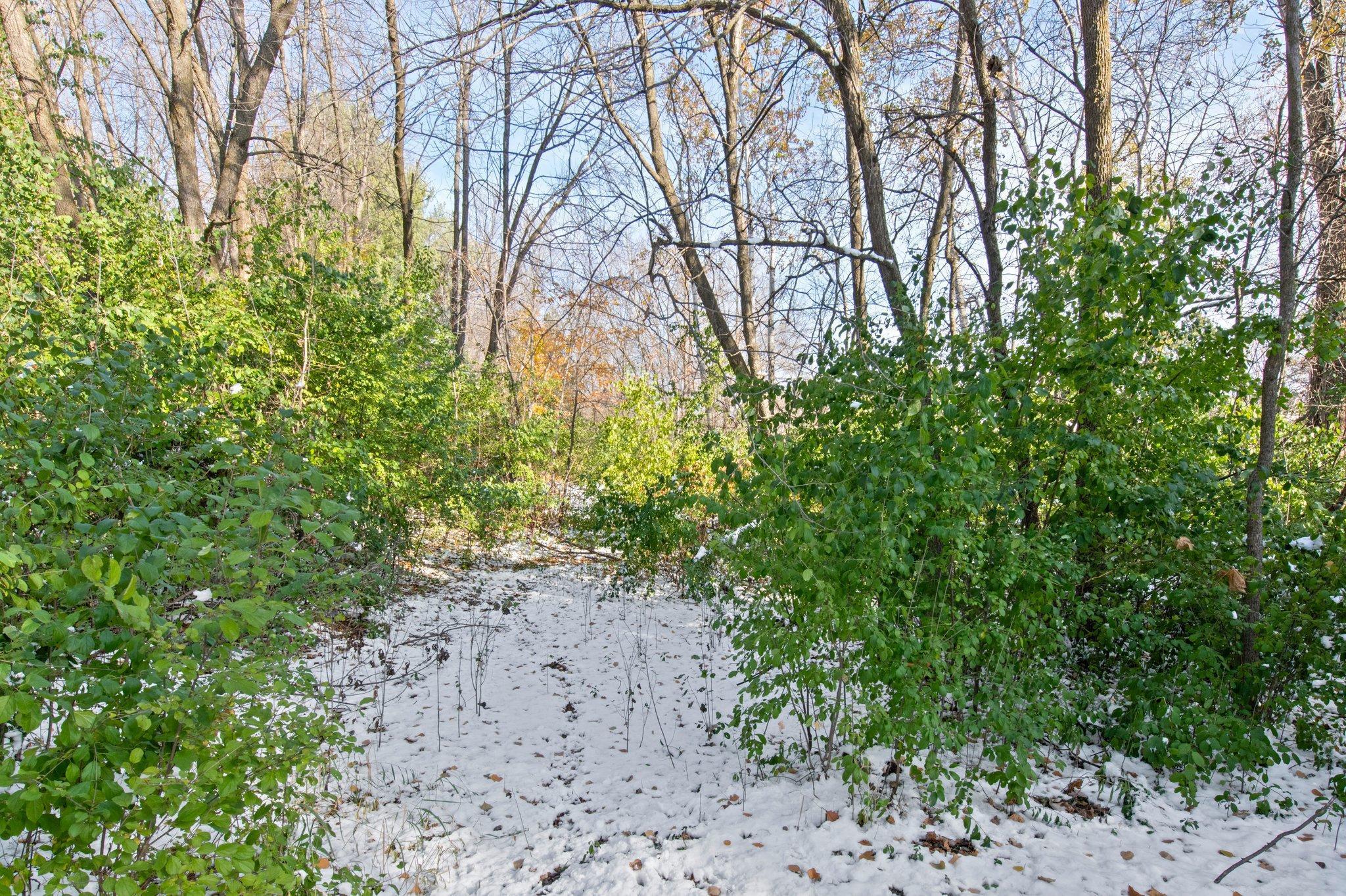 21145 Fondant Avenue, Forest Lake, Minnesota image 16